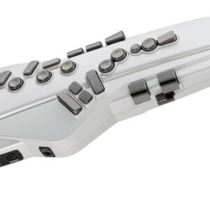 Roland AE-20W Aerophone Digital Wind Instrument