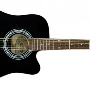 Washburn WA90 CEB Acoustic-Electric Guitar
